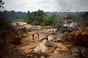 2024-12-11T161040Z_1_LYNXMPEKBA0Q6_RTROPTP_4_BRAZIL-GOLD-MUNDURUKU.jpg