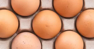 dieta-do-ovo-cuidados.jpg