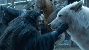 jon-snow-lobo-game-of-thrones.png