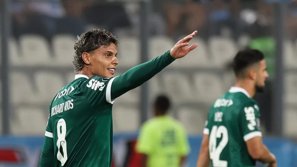 palmeiras-rios.jpg