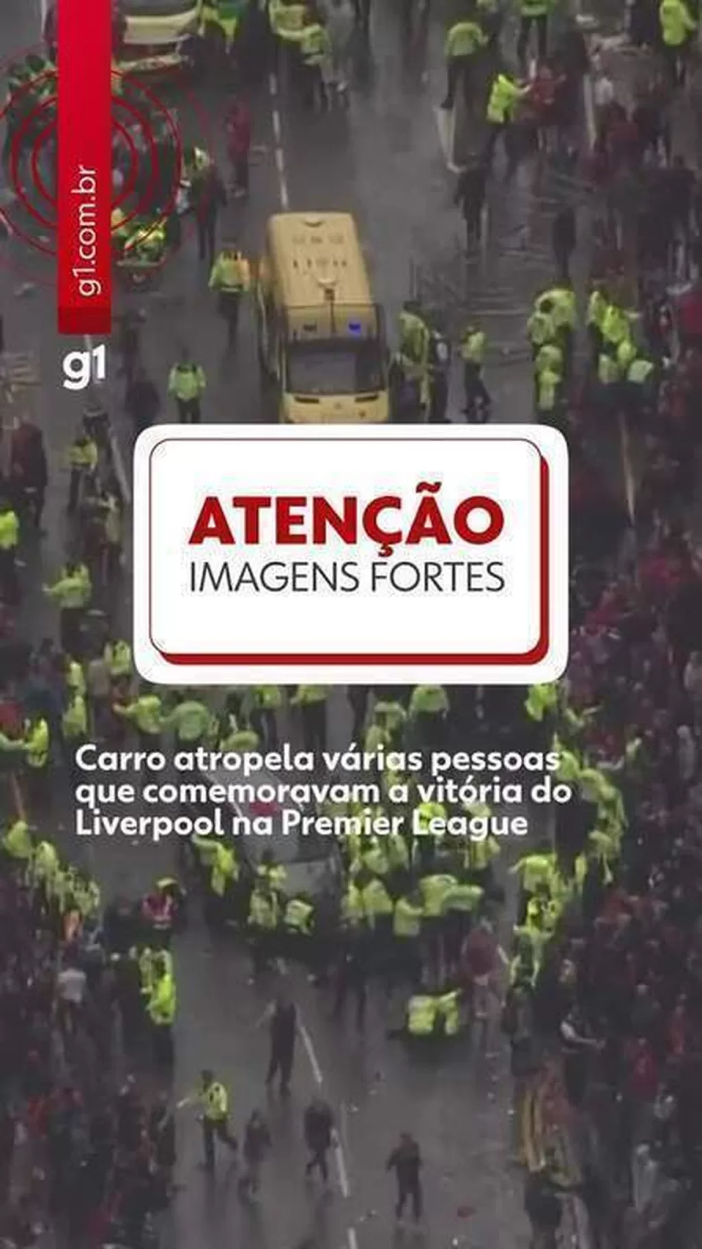 13629991.jpg