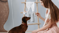 Dia das Mães: afinal, mãe de pet é mãe ou não?