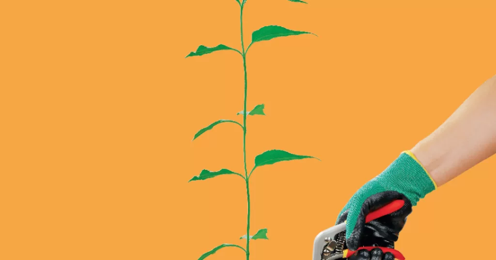 515-ecossistema-homem-natureza.png