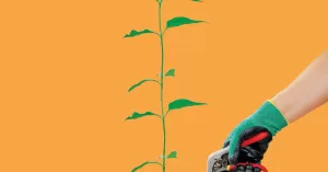 515-ecossistema-homem-natureza.png