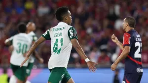 Cerro-Palmeiras-Libertadores-e1746672935625.jpg