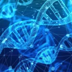DNA_strands.jpg