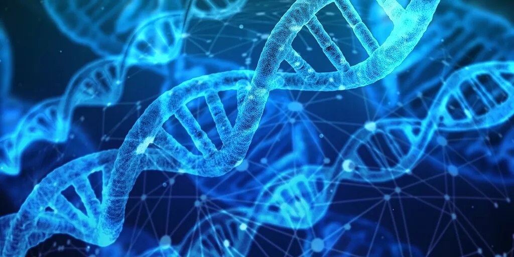 DNA_strands.jpg