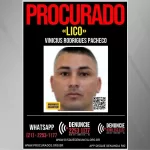 Inserir-um-titulo-10.jpg
