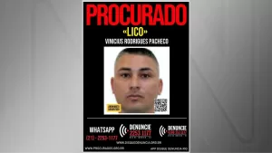 Inserir-um-titulo-10.jpg