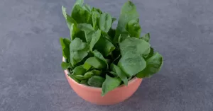 agriao-beneficios-comida.jpg