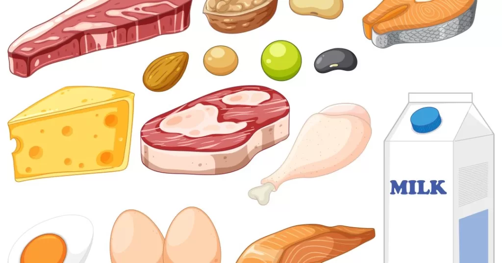 alimentos-ricos-proteina.jpg