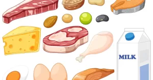 alimentos-ricos-proteina.jpg