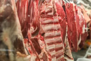 carne-bovina.jpg