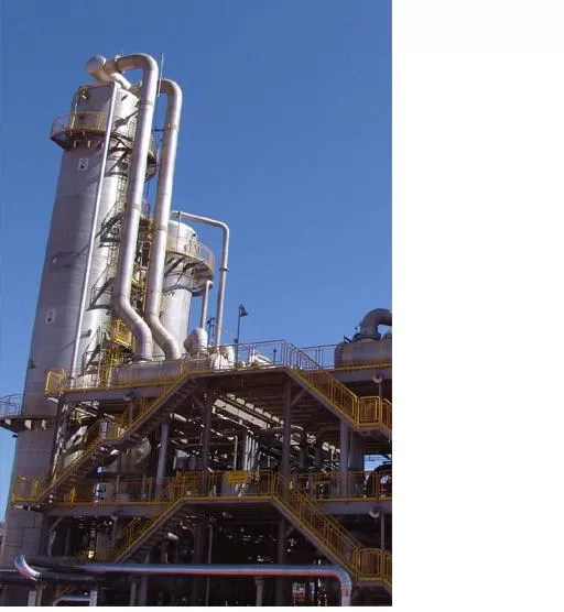 cosan-1.jpg