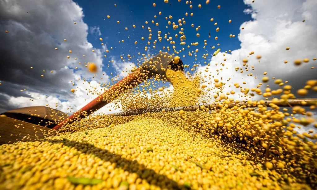 ibge-safra-agencia-brasil.jpg