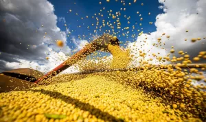 ibge-safra-agencia-brasil.jpg