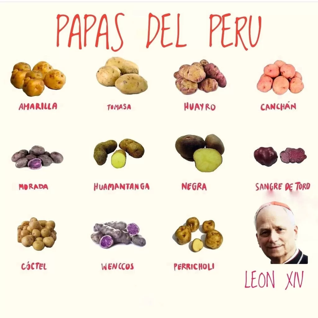 imagem-3-.png