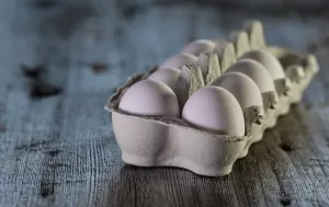 ovos.png