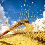 pib-brasileiro-cresce-primeiro-trimestre-2025-agronegocio-scaled.jpg