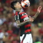 pulgar_flamengo.jpeg