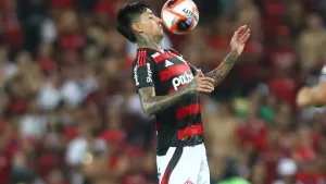 pulgar_flamengo.jpeg