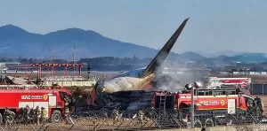 2024-12-29t021116z-825104569-rc2qyba1idhd-rtrmadp-3-southkorea-crash.jpg