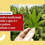 3-Cards_Galeria_de_Fotos-2-36.jpg