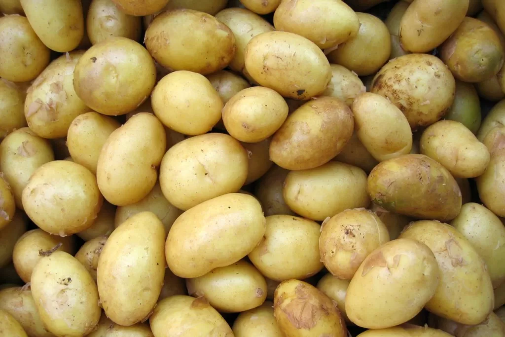 batata-4.jpg