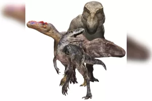ilustracao-novo-tiranossauro.jpeg